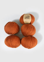 Pack de 5 Pelotes de Meriwool