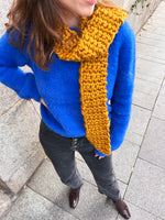 Stege Scarf Kit - Yummy Version