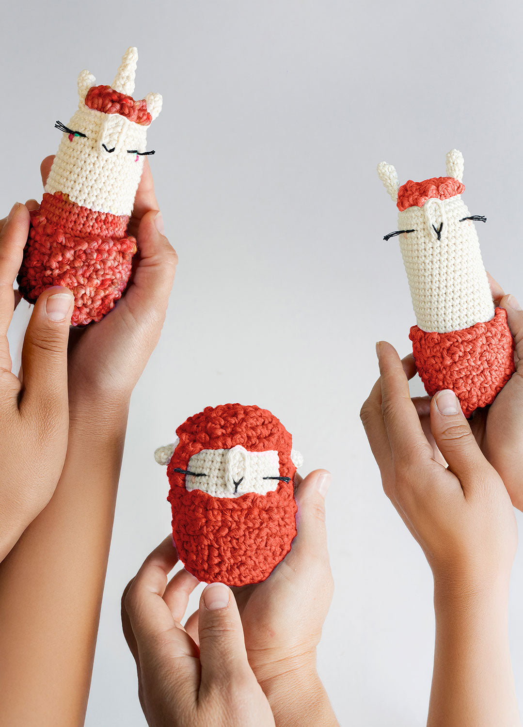 Amigurumis x @lalylaland Bundle Kit