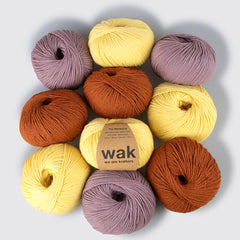 Pack de 10 Pelotes de Meripaca Yarn