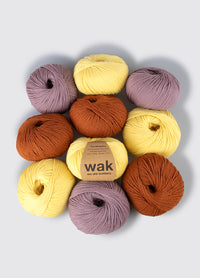 Pack de 10 Pelotes de Meripaca Yarn