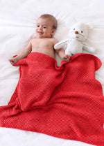 Dragonfly Blanket Kit