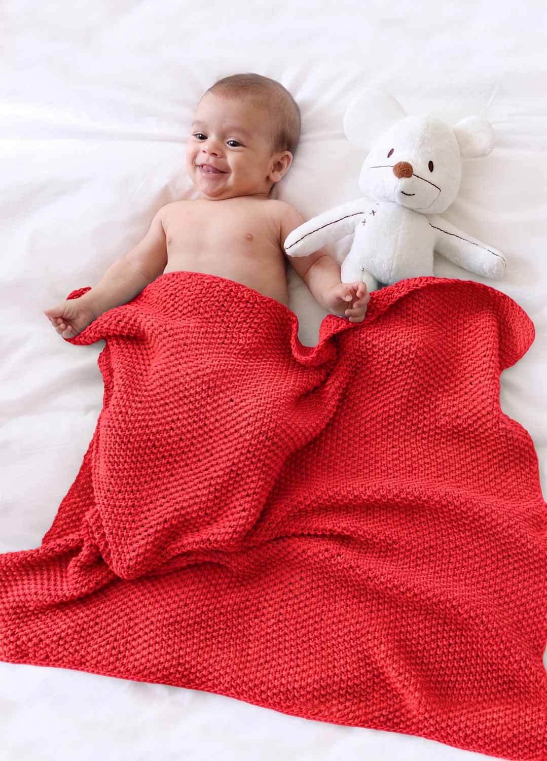 Dragonfly Blanket Kit