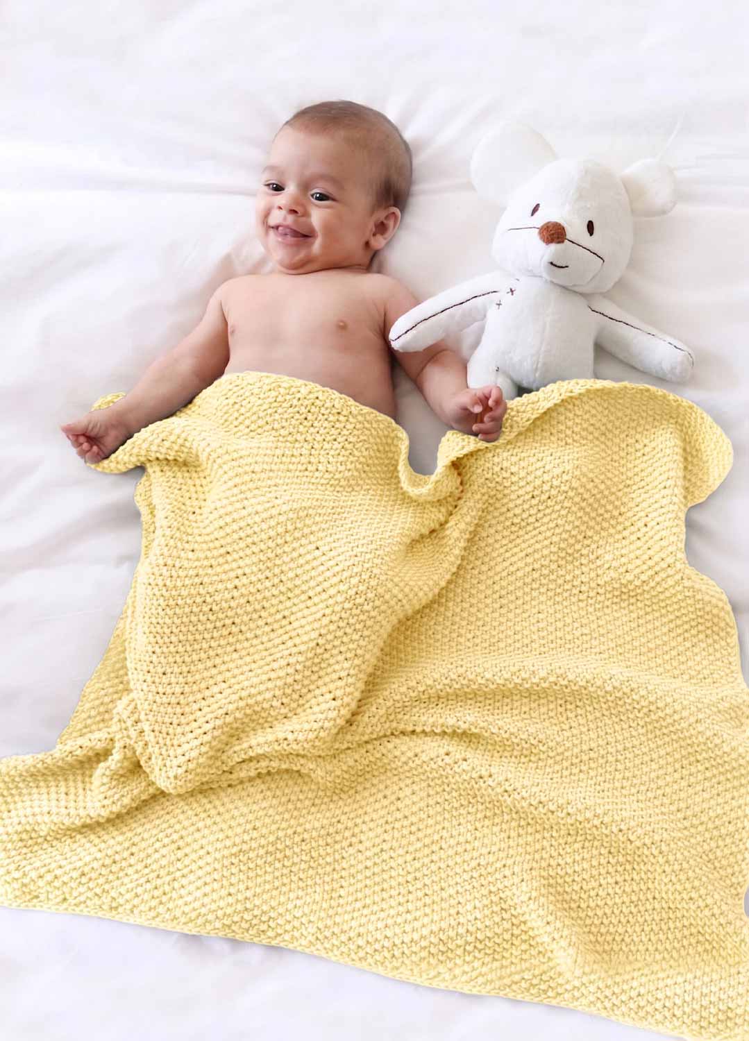 Dragonfly Blanket Kit
