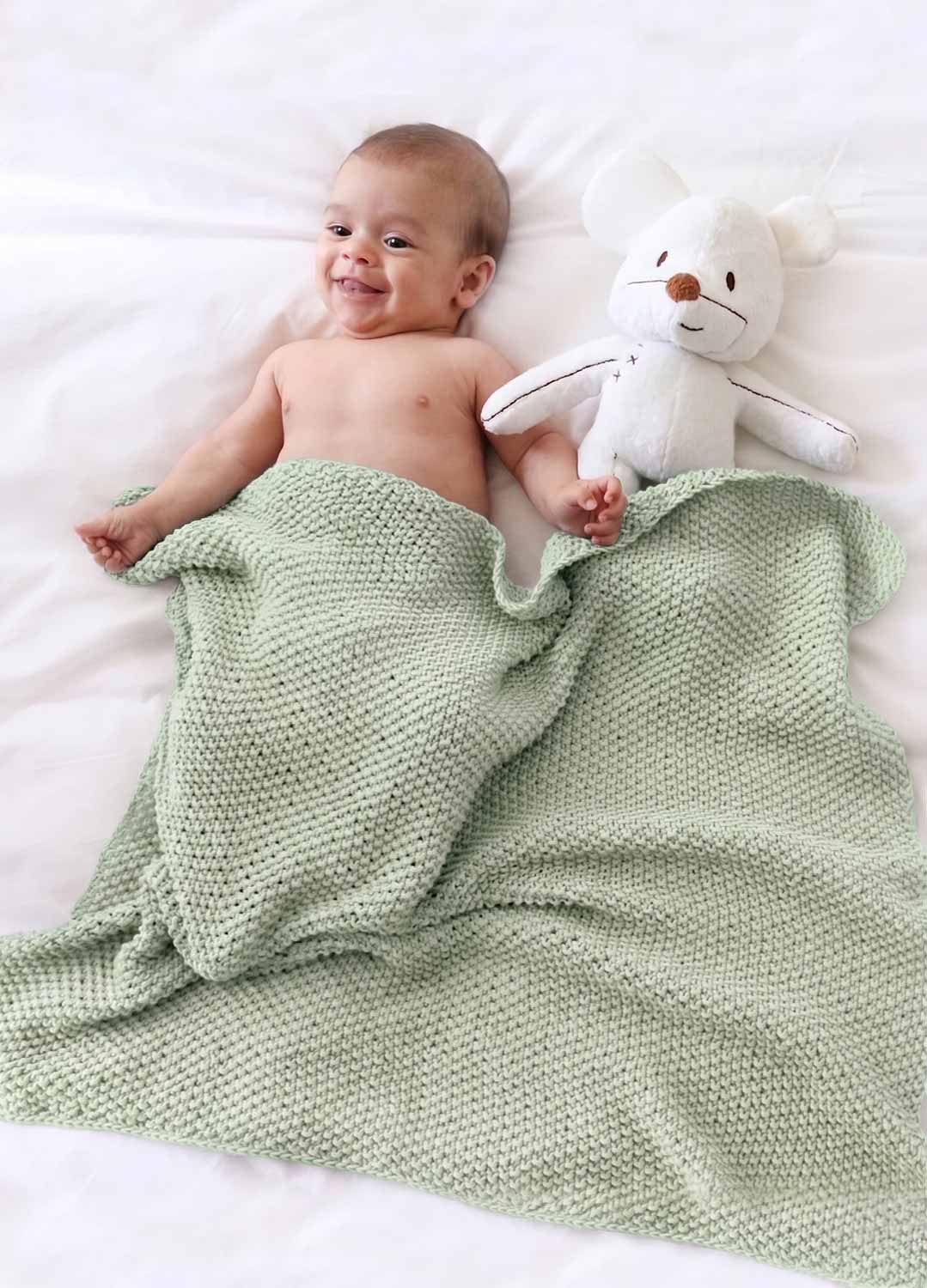 Dragonfly Blanket Kit
