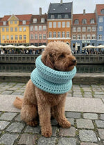 Rex Snood Kit pour animaux – Version Yummy