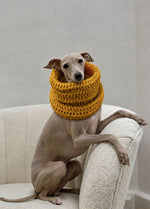 Rex Snood Kit pour animaux – Version Yummy