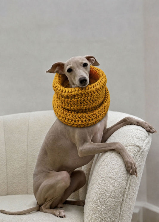 Rex Snood Kit for Pets - Yummy Version